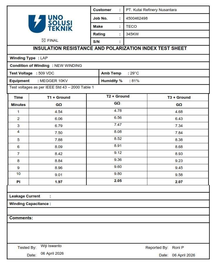 Stator DE side - kondisi winding burnout